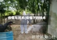 疫情与技术(疫情下的技术)