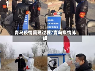 青岛疫情蔓延过程/青岛疫情脉络