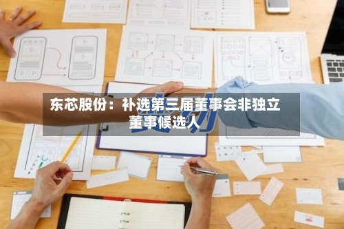 东芯股份：补选第三届董事会非独立董事候选人-第1张图片