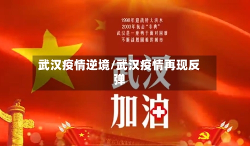 武汉疫情逆境/武汉疫情再现反弹-第1张图片