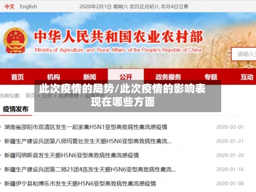 此次疫情的局势/此次疫情的影响表现在哪些方面-第2张图片